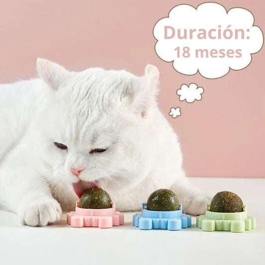 PawCat® - Juguete de bola de hierba de menta para gatos 40% Descuento "Envío Gratis 🎁"